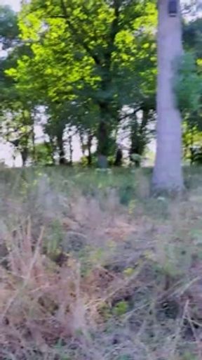 Slutboyben CAM4 Exhibitionism Addicted Porno QUEEN