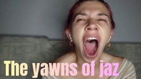 The yawns of jaz