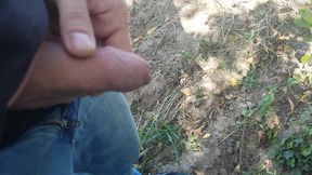 Natursektpause