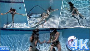 Scuba Hoes: Underwater Card Game