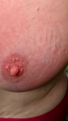 Outdoor Tit Training - hard   Clip 1