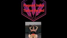 Pregnant Indica Tied on the Bed MP4