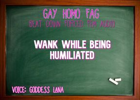Wank While Being Humiliated Gay Homo Fag Audio