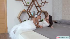 I can finally fuck my busty shemale wife