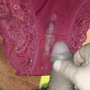 I masturbate with my rich sister-in-law&#039;s panties