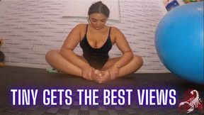 Tiny Gets the Best Views (1080)