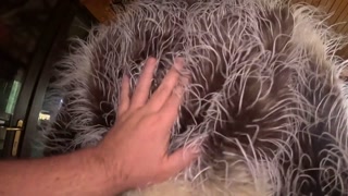 I want you to help me choose a fur coat for the next scene