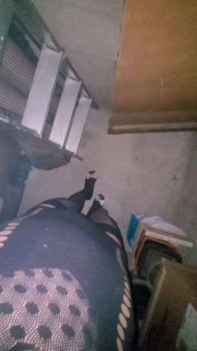 La Cave a Pute de VaneSsaBiTCHx [19au25] Mon Futur 🍌GLORyHoLe PcTrv91