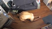 Solo Male Naked Stretching At Home And Jerking Off Watching VR Porn - Full Scene on my sites