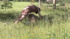 La radura del peccato