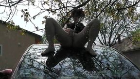 I am pissing on my car