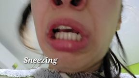 Sneezes all over the house