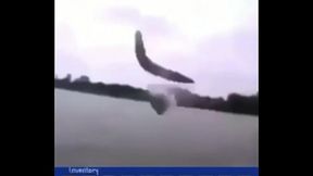 &quot_песнь дождя&quot_