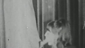 Viral: ”Retro Sexy Hottie Sucks Huge Hard Cock Before It Smashes Her Unshaved Muff”