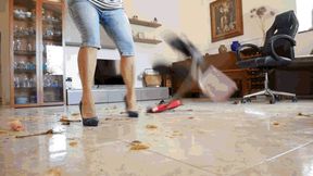 Mess in the house MP4 (1920x1080) FHD