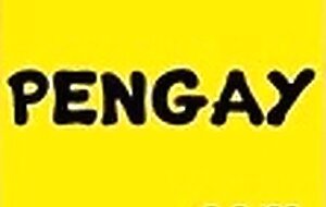 Deep Throating a Big Black Cock