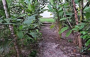 Roseshygirl, sex in the middle of jungle with a brazil local girl!