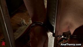 Latina Domme Anal Fuck Cum