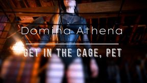 Get In The Cage, Pet!