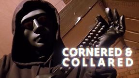 CORNERED AND COLLARED (Highly Immersive Taken Captive Fantasy)