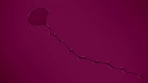 Sexo romantico na praia