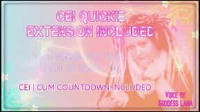 AUDIO ONLY - CEI quickie enhanced version