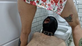 Pissing. Toilet slave. Dominatrix pisses in the mouth and on the body of her slave. Toilet fetish