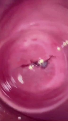 SUPER CLOSE UP - this is what the inside of the vagina looks like   Clip 1