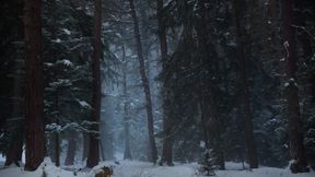 Winter Forest - A Guided Meditation - AUDIO ONLY