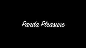 Panda Pleasure WMV