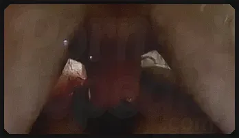 Twink Sluts Jerk Off in Hot Threesome