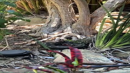 emily feld poolsid P Private Collection At spankbang.pics