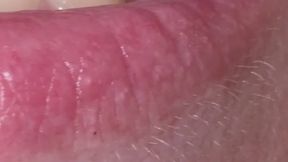 Katjas Mouth Tour (upclose)