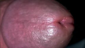 An Excited Penis and a Beautiful Ass Very Close up