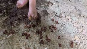 Dirty feet from crushed berries MP4