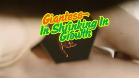 Forever In Shrinking In Growth ASMR