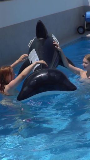Lesbian Girls Are Having Fun in a Pool with an Inflatable Shark