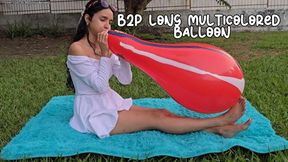 B2P long multicolored balloon