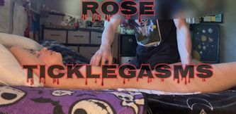 Rose ticklegasms