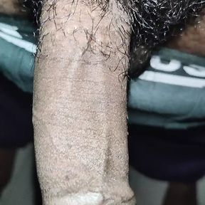 My big desi hairy cock