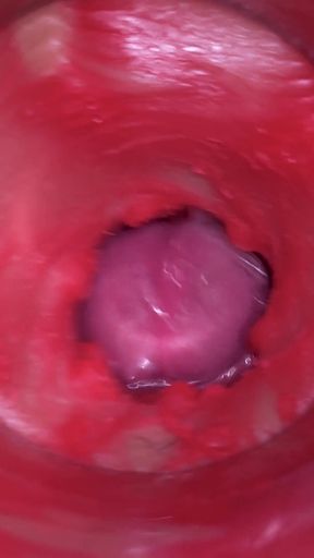 Must-see moment from &quot;CAMERA INSIDE PUSSY: POWERFULL CUM IN PUSSY! BEST Internal ASMR in 4K&quot;