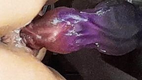 Creamy fun with new toy