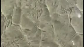 LadyFeet walking on the beach in her bare feet