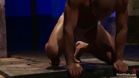 Wilfried Knight - Leo Forte's Dream Comes True