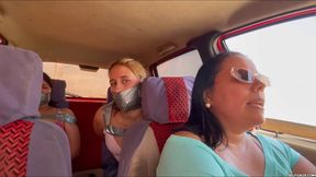 Silly Troublemakers Silenced in the Backseat (wmv)
