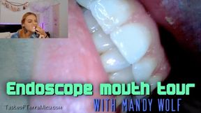 Endoscope mouth tour - Mandy Wolf - HD 720 MP4