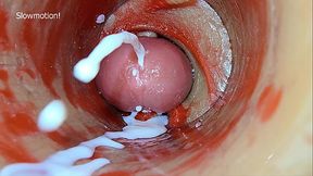 Amateur girl swallows dildo cum in ASMR video