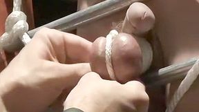 BoundMucleJocks: Master Franco Dax wraps Chet Walkers balls until it almost burst