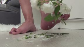 LORY Trampled the jasmine with her bare feet