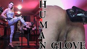 HUMAN GLOVE HD